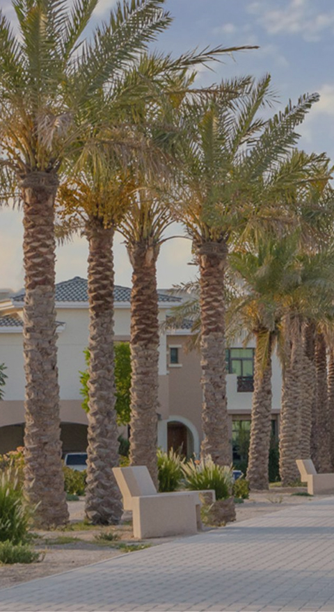 Villas in Riffa Views